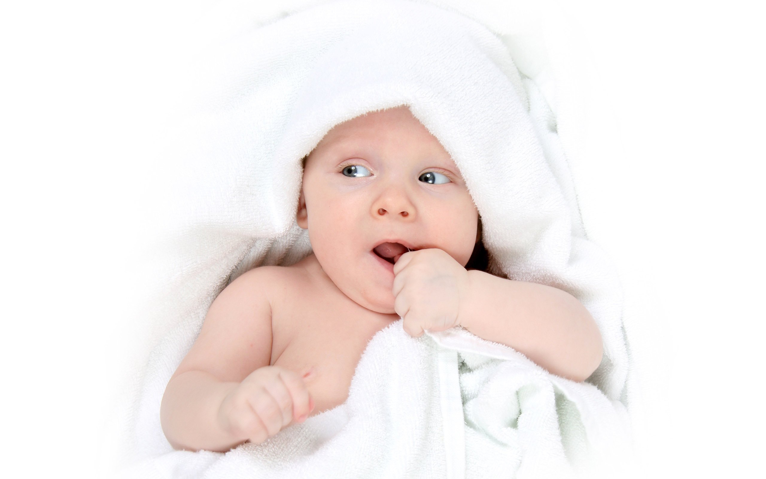 廊坊供卵代怀试管婴儿三十岁成功率